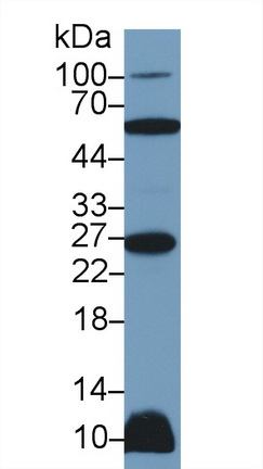 10302