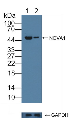 12230