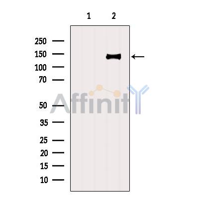 Валидация Affinity DF2588 - 13270