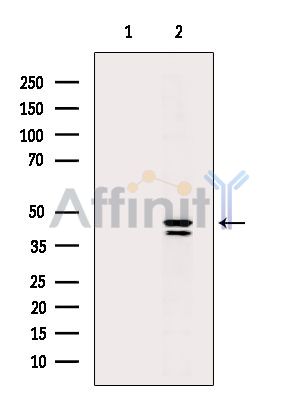 Валидация Affinity DF14811 - 10914