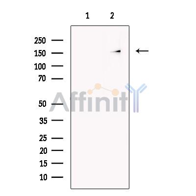 Валидация Affinity DF13691 - 9286
