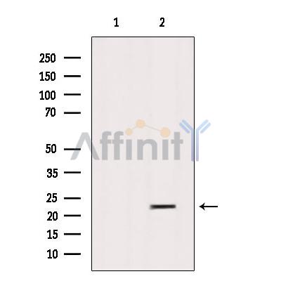 Валидация Affinity DF4105 - 15391