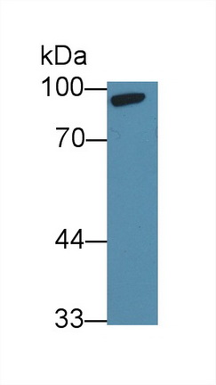 12674