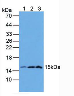 5351