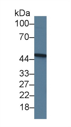 19337
