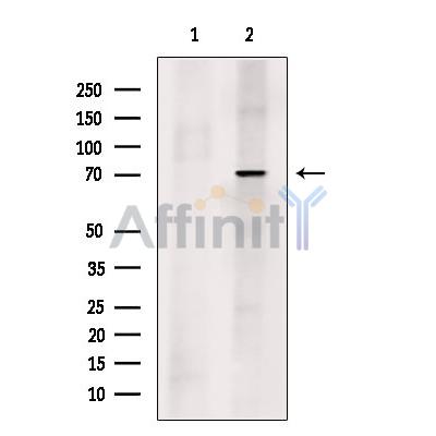 Валидация Affinity DF13531 - 8947