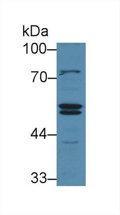 12489