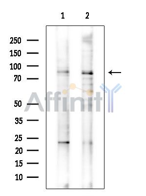 Валидация Affinity DF14441 - 10402
