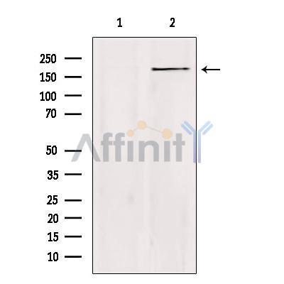 Валидация Affinity DF4623 - 16257