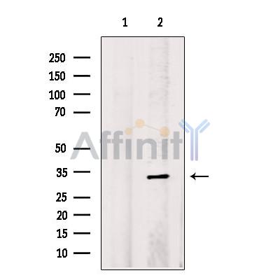 Валидация Affinity DF13450 - 8784