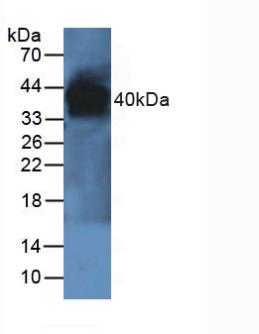 5959