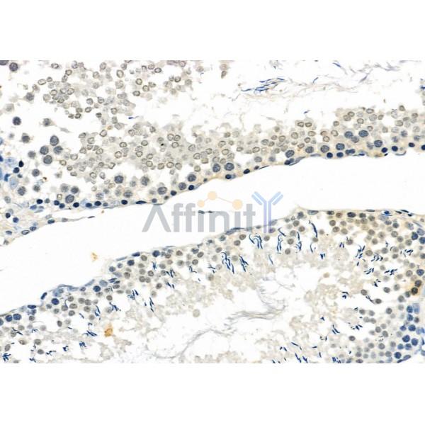 Валидация Affinity DF10036 - 5489
