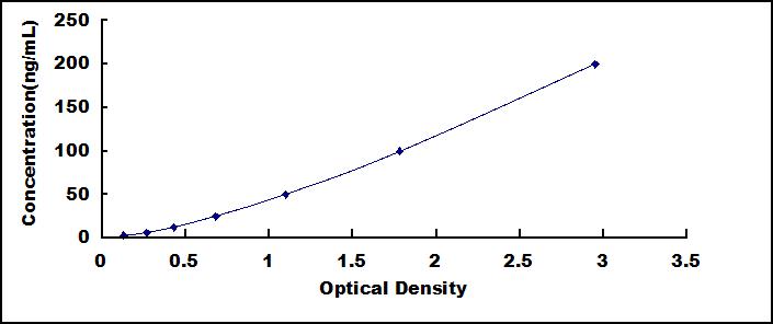 37069