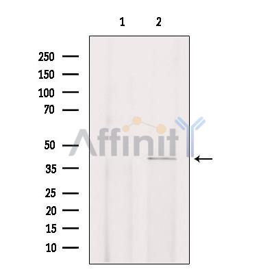 Валидация Affinity DF3882 - 15042