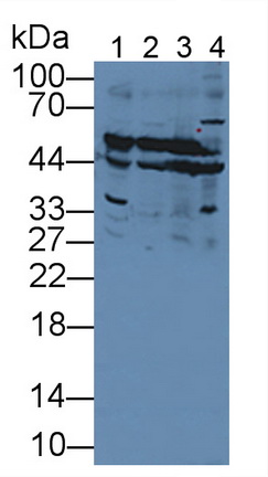 11930