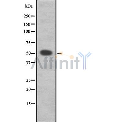 Валидация Affinity DF8391 - 20261