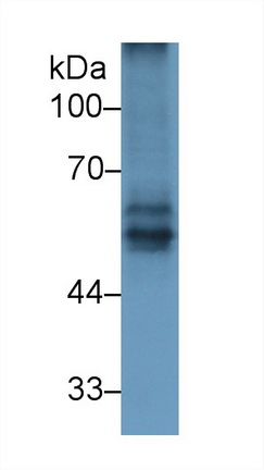 13197