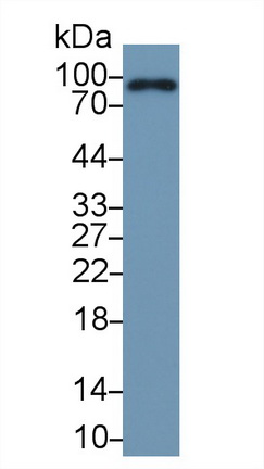 13358
