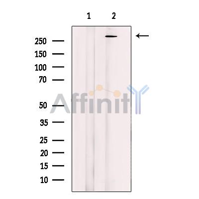 Валидация Affinity DF12422 - 6930