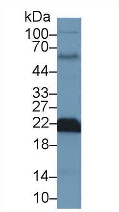 13440