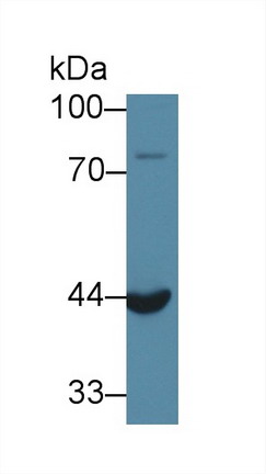 8919