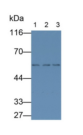 28340