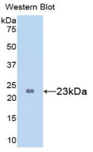 39869