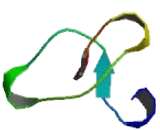 Defensin Beta 118 (DEFb118)