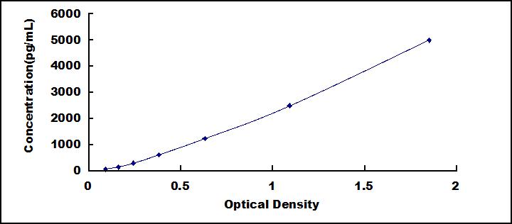 50963