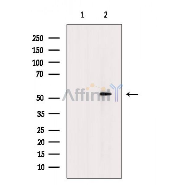 Валидация Affinity AF6731 - 3982