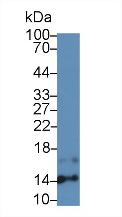 13853