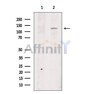 Валидация Affinity DF13269 - 8362