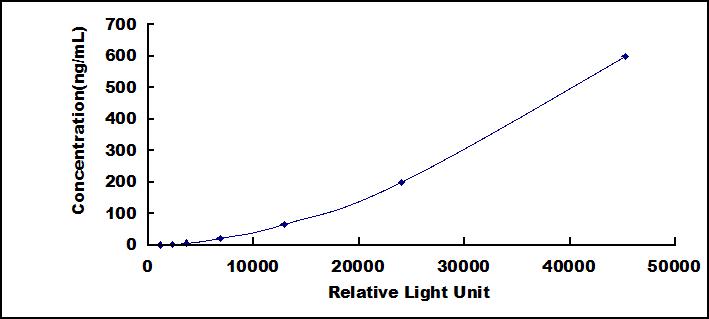 46276