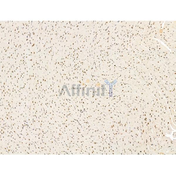 Валидация Affinity DF13640 - 9187