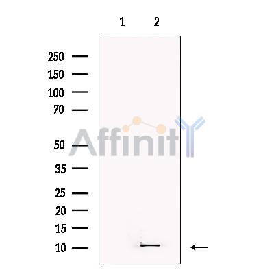 Валидация Affinity DF4354 - 15808