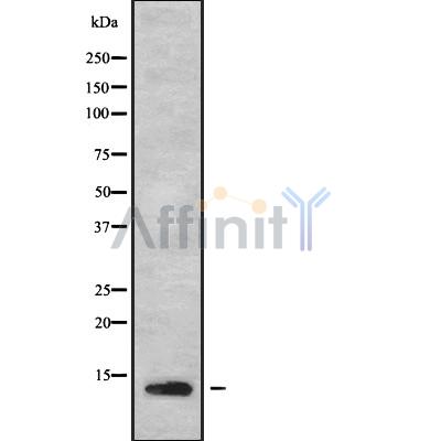 Валидация Affinity DF10097 - 5592