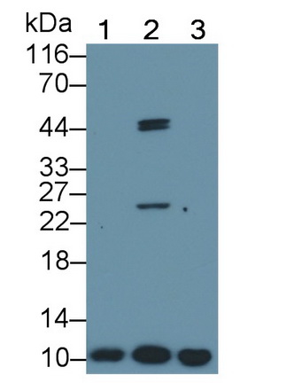 12328