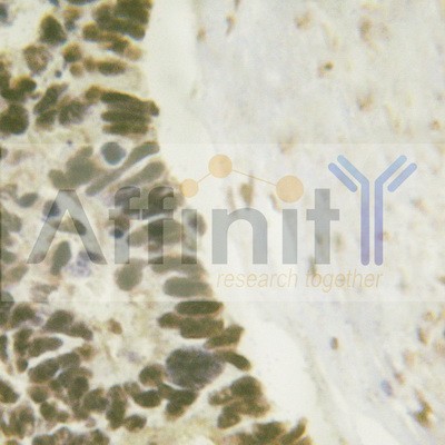 Валидация Affinity AF6379 - 3673