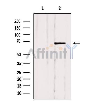 Валидация Affinity DF4530 - 16104