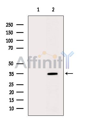 Валидация Affinity DF6367 - 17716