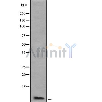 Валидация Affinity DF8505 - 20365