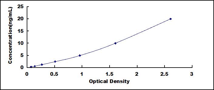 49165