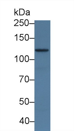 10189