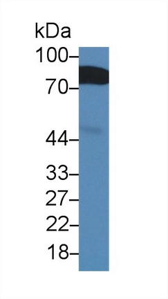 14082