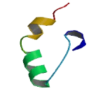 Zinc Finger Protein 385A (ZNF385A)