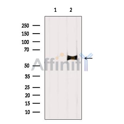 Валидация Affinity DF6714 - 18234