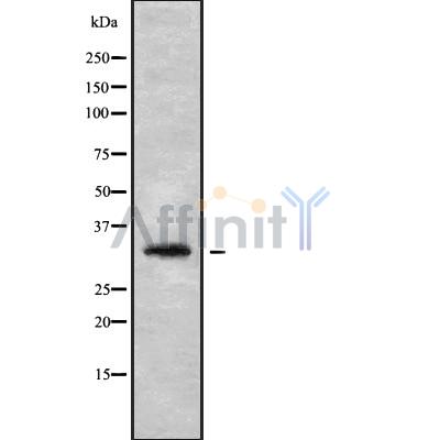 Валидация Affinity DF9395 - 21935