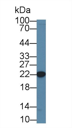 8719