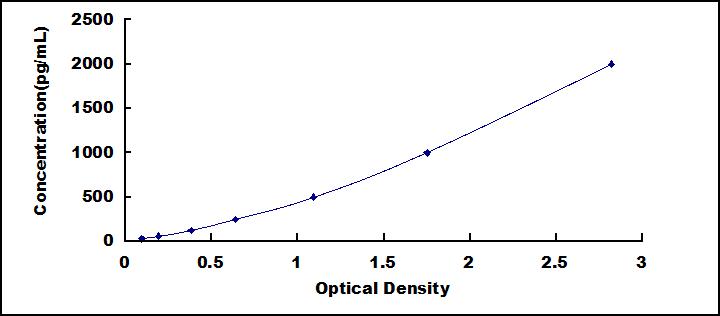 62618