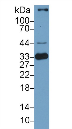 10240